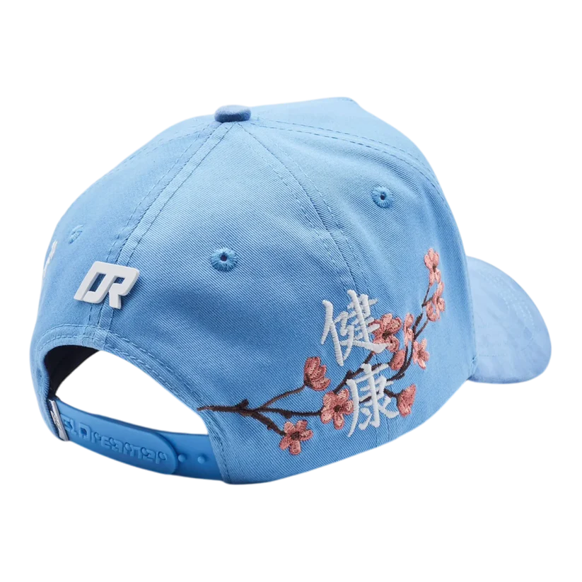 Gorra Dreamer Hats Kanji