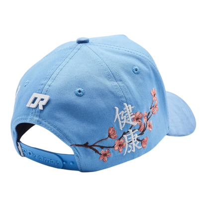 Gorra Dreamer Hats Kanji